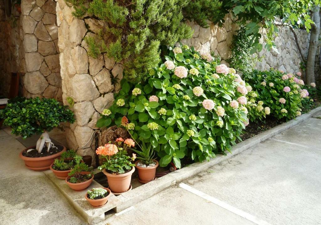Nice Apartment & Room In Cavtat Ngoại thất bức ảnh